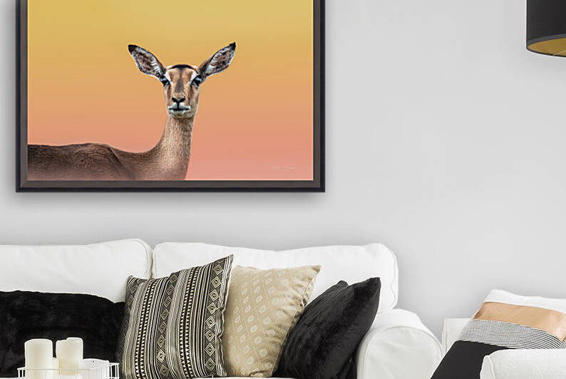 Dreamy Impala by Melanie Delamare