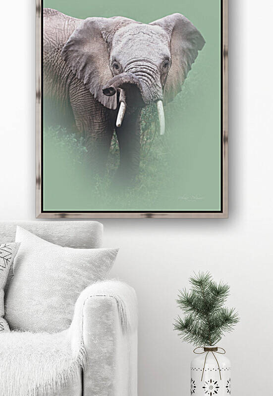 Trunk Attitude by Melanie Delamare