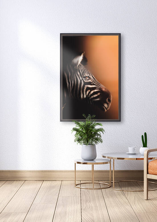 Glare into the Light by Melanie Delamare