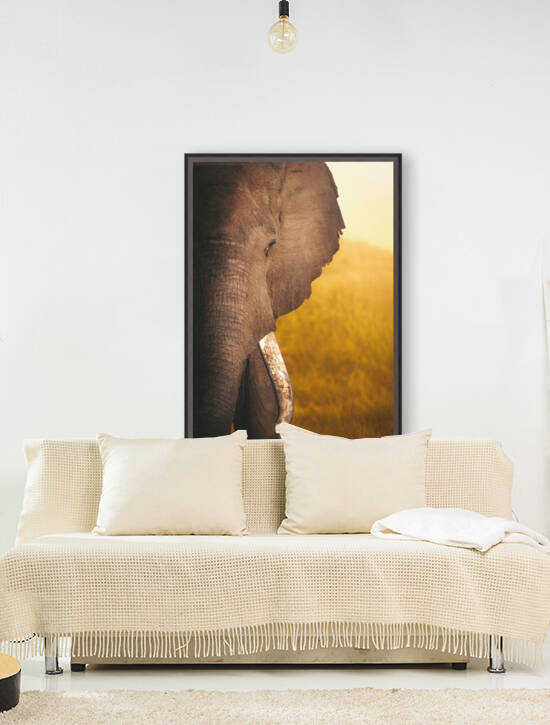 Golden Bully by Melanie Delamare