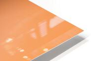 Glare into the Light HD Metal print