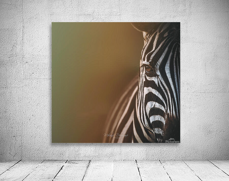  I5A7812 Edit Wall Preview