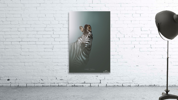  I5A1349 Edit Edit Wall Preview
