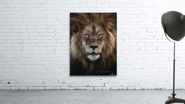 Madoda Wall Preview