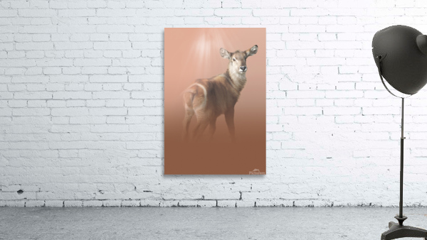 Striking Waterbuck Wall Preview
