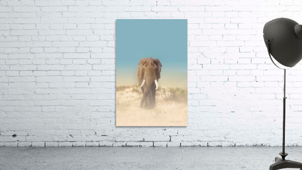 The Elephants Path Wall Preview
