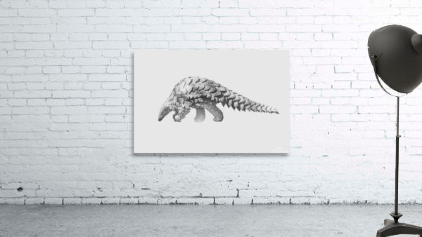 Shy Pangolin Wall Preview