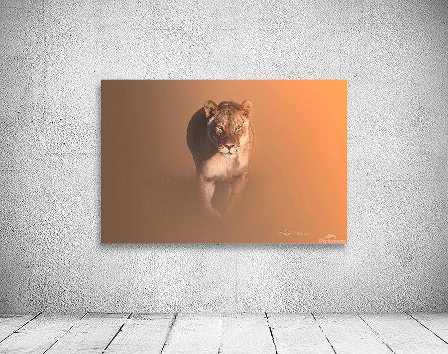 Hungry Eyes Wall Preview