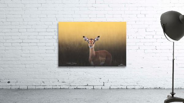 Yellow Light Impala Wall Preview