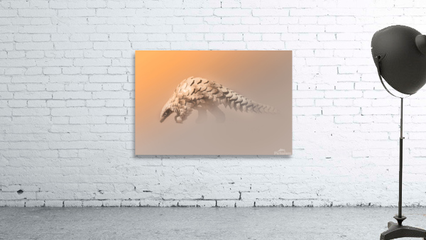 Golden Pangolin Wall Preview