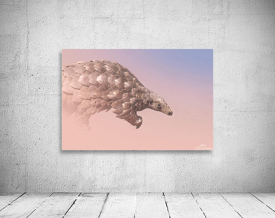 Pangolin Illusion Wall Preview