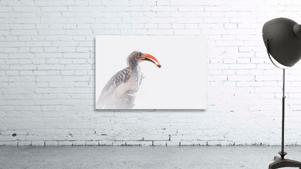 ZAZU Style Wall Preview