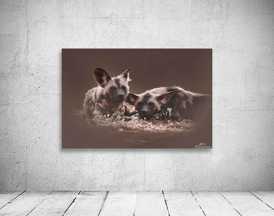 Wild Dog Brothers Wall Preview