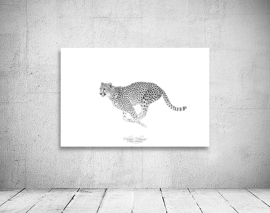 Speedy Cheetah Wall Preview