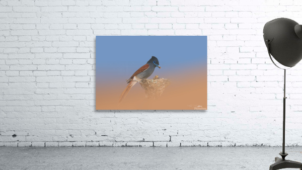 Paradise Flycatcher Wall Preview