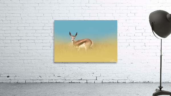 Springbok Dream Wall Preview