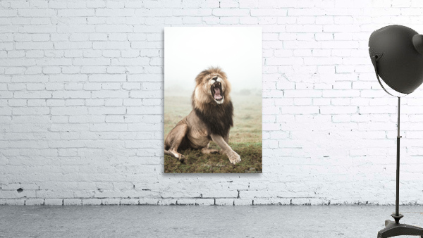 Lion Voice Wall Preview