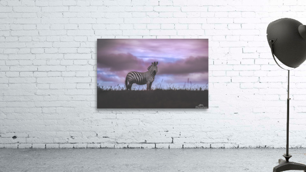 Life In Pink Wall Preview