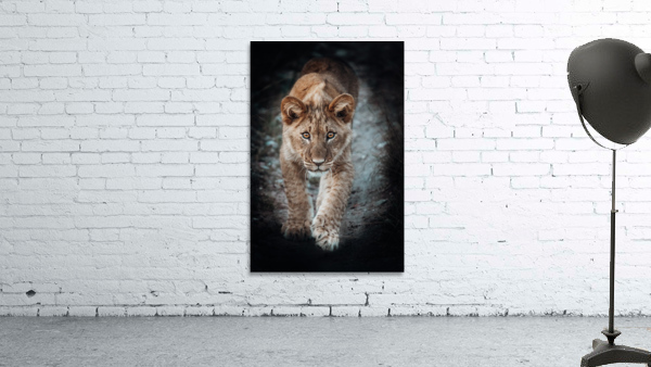 Simbas Look Wall Preview