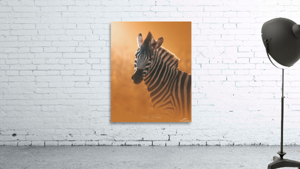 Gleaming Zebra Wall Preview