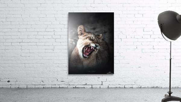 Blinded Cub Wall Preview