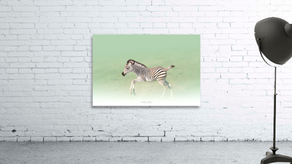 Running Zebra Wall Preview
