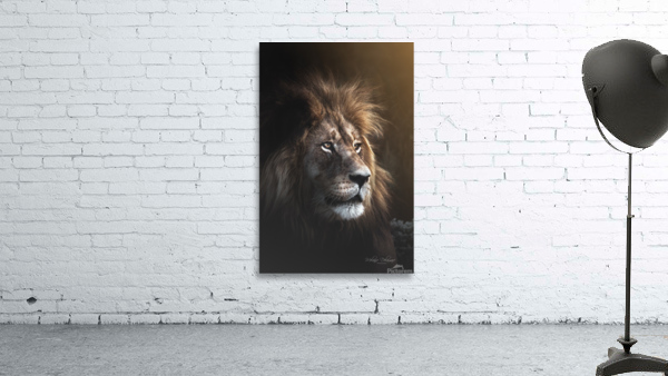 Glowing Lion Wall Preview