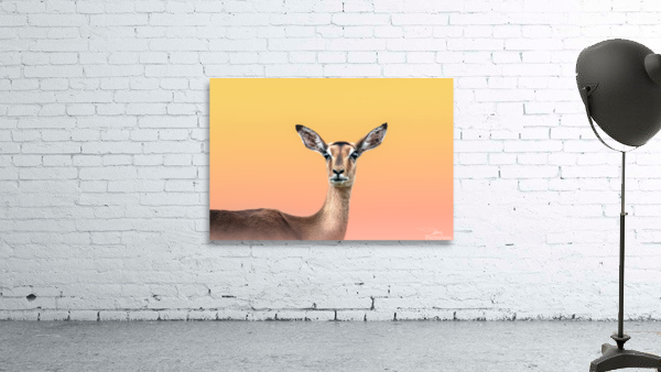 Dreamy Impala Wall Preview