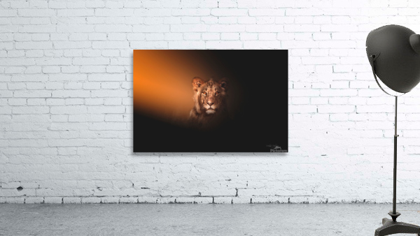 Touched By Light Wall Preview