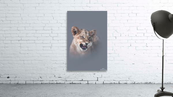 Feisty Kitty Wall Preview