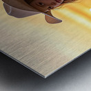 The Sunset Cowgirl Metal print