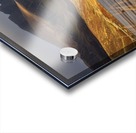 9W8A3609copy Acrylic print