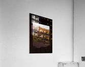 3W3A3965 copy Acrylic Print
