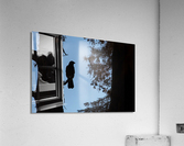 Crow in the forest Acrylic Print