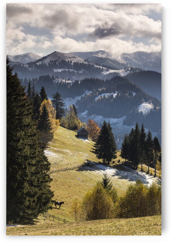 9W8A5696copy by MIRICA DAN-ALEXANDRU