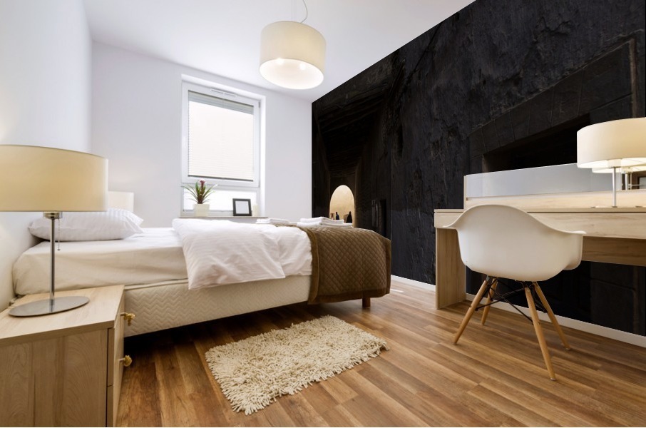 3W3A6267 copy Mural print
