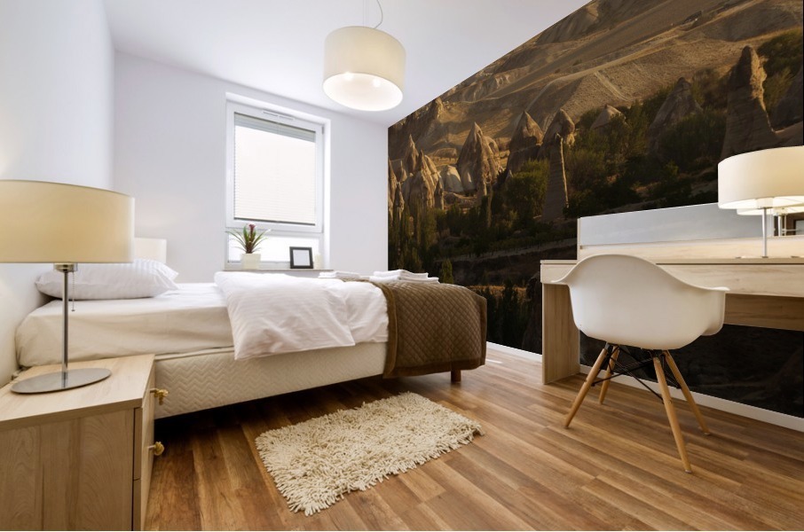 3W3A0531 copy Mural print