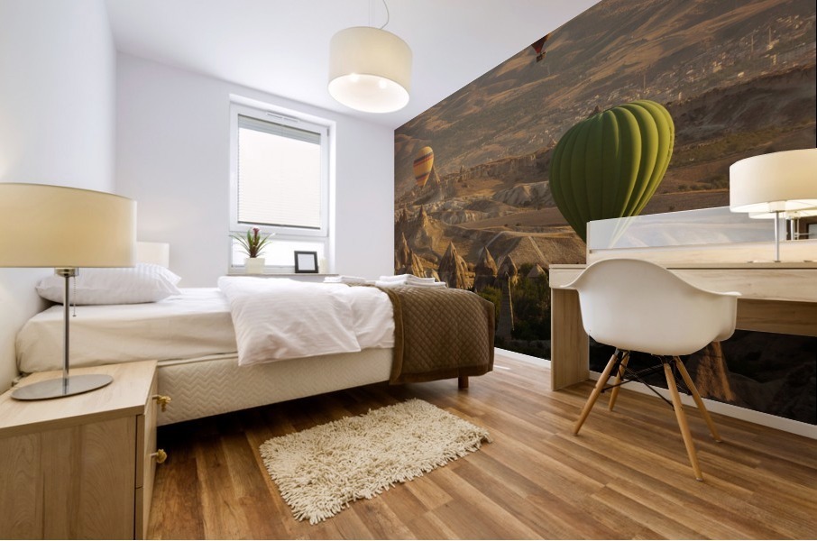 3W3A0478 copy Mural print