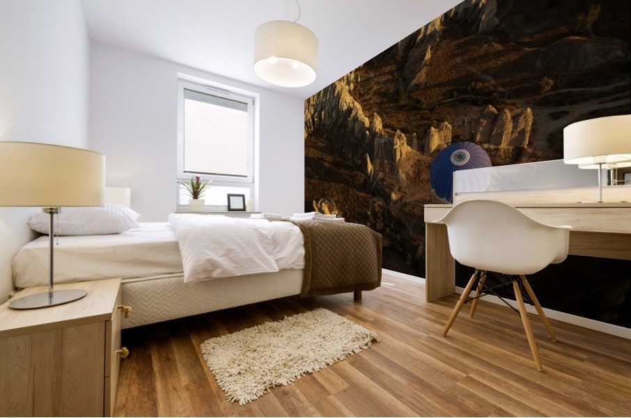 3W3A7102 copy Mural print