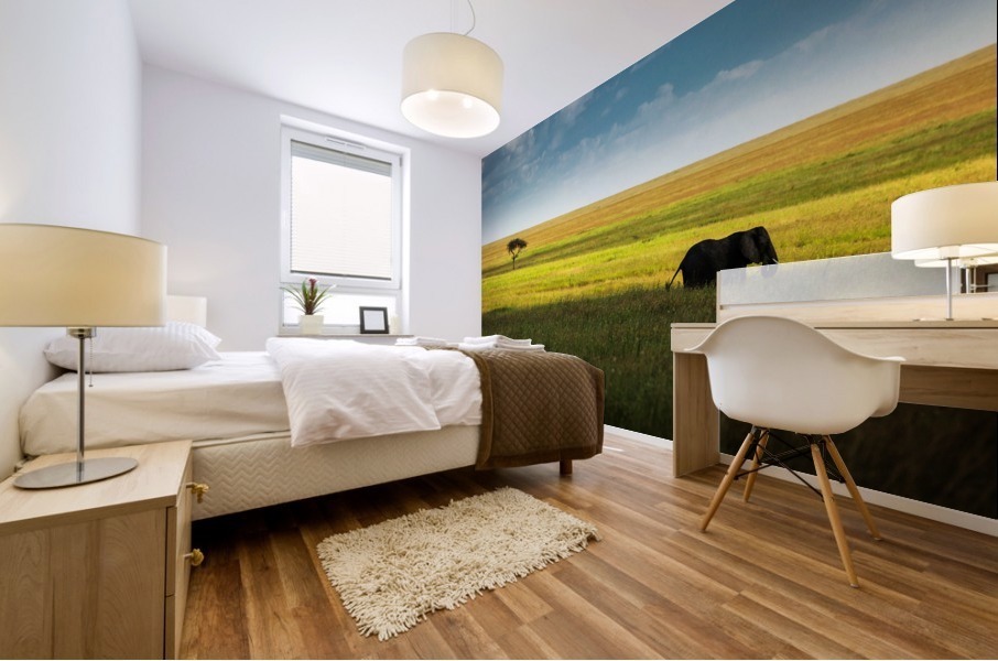 3W3A8115 copy Mural print
