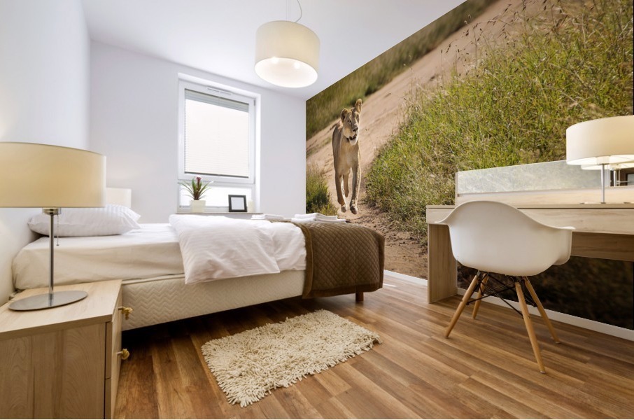 3W3A9082 Mural print