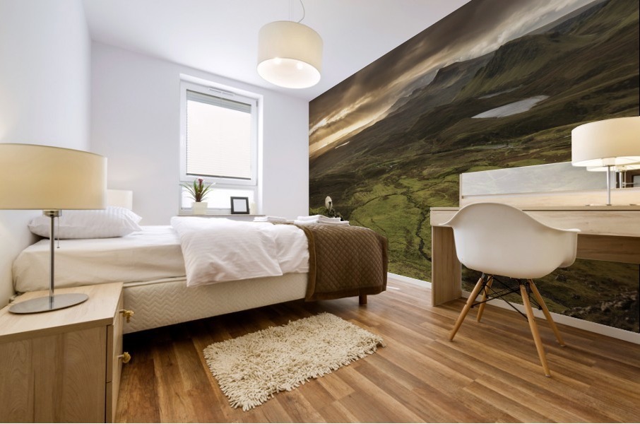 9W8A2295copy Mural print