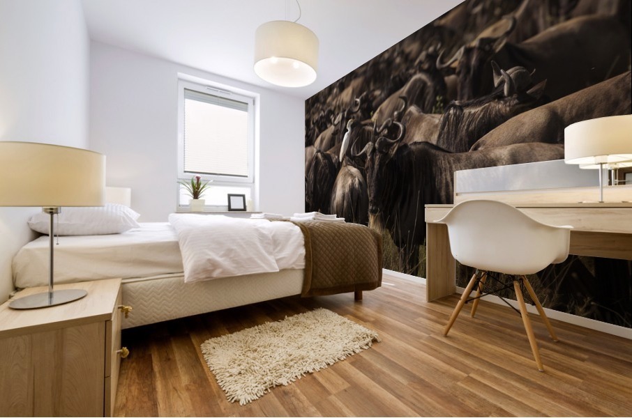 9W8A6039copy Mural print