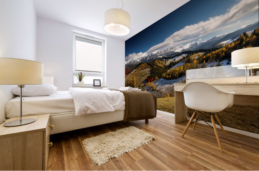 9W8A5707copy Mural print