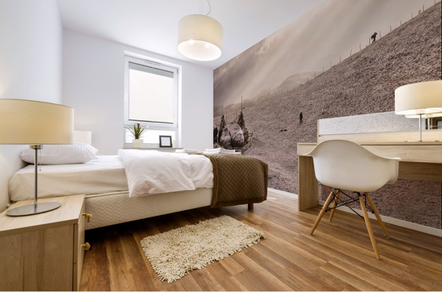 9W8A5003copy Mural print