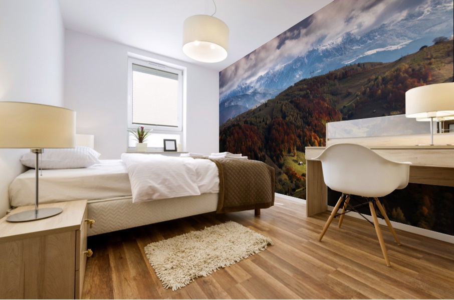 9W8A5607copy Mural print