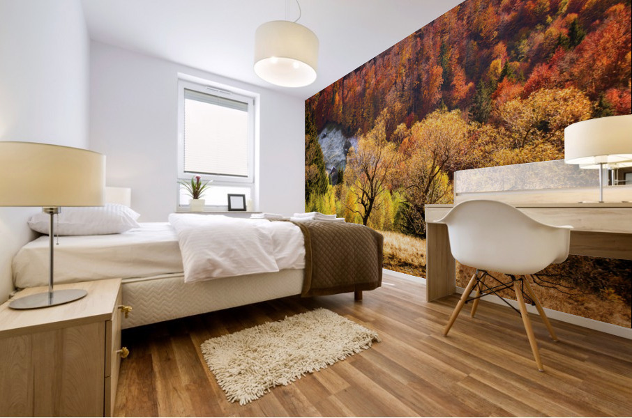 9W8A5527copy Mural print