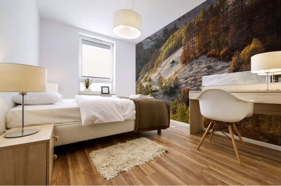9W8A5174copy Mural print