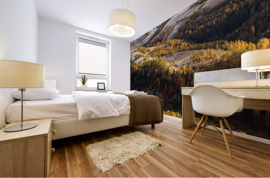 9W8A5290copy Mural print