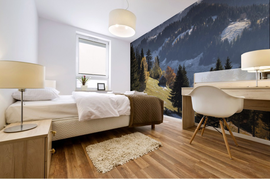 9W8A5696copy Mural print
